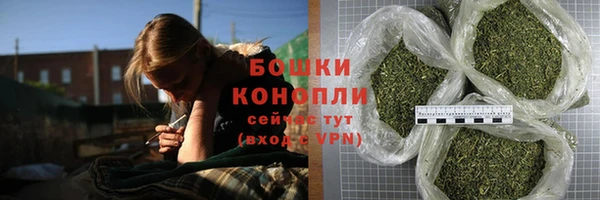 прущие грибы Горно-Алтайск