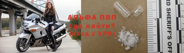 прущие грибы Горно-Алтайск