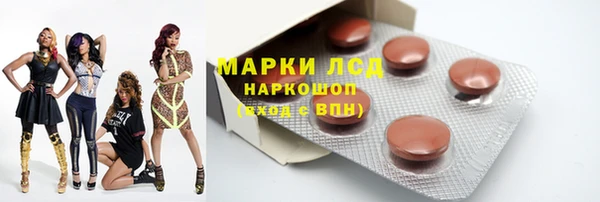 прущие грибы Горно-Алтайск
