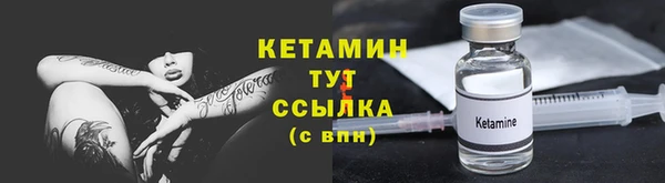 прущие грибы Горно-Алтайск