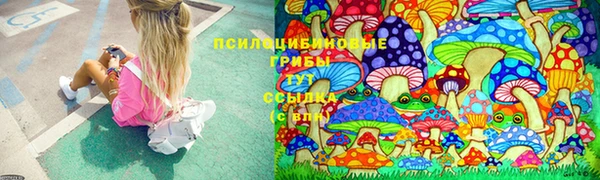 прущие грибы Горно-Алтайск