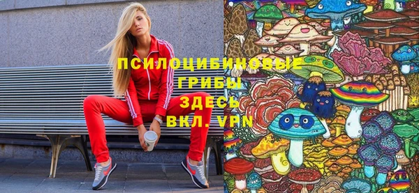 прущие грибы Горно-Алтайск