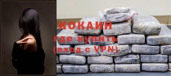 прущие грибы Горно-Алтайск