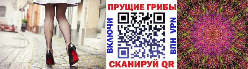 купить наркоту  Дигора  omg рабочий сайт  Галлюциногенные грибы GOLDEN TEACHER 